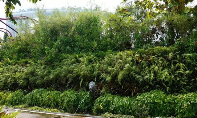 新加坡的立体绿化居然这么奇妙!