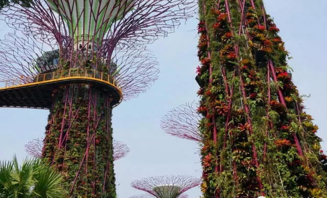 新加坡的立体绿化居然这么奇妙！