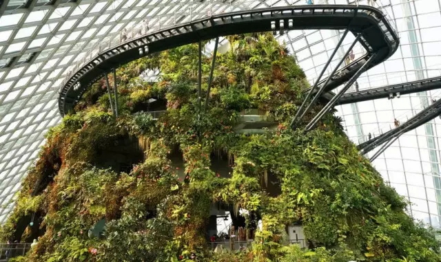 新加坡的立体绿化居然这么奇妙！