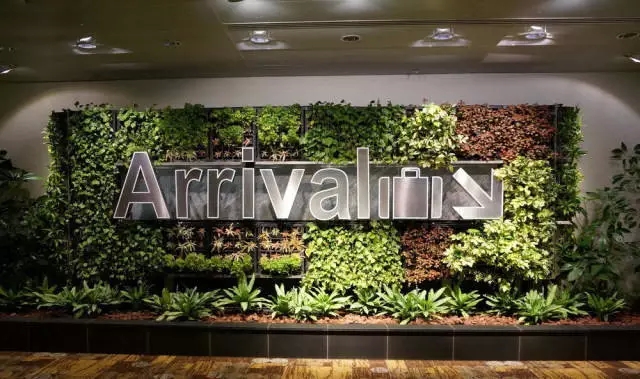 新加坡的立体绿化居然这么奇妙！