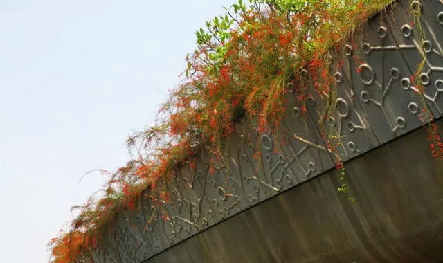 新加坡的立体绿化居然这么奇妙！