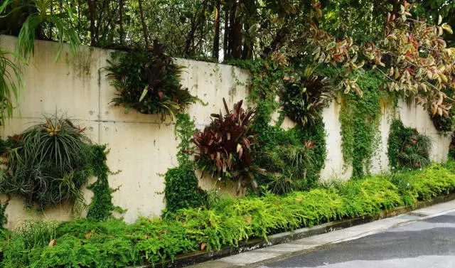 新加坡的立体绿化居然这么奇妙!