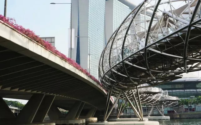 新加坡的立体绿化居然这么奇妙！