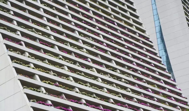 新加坡的立体绿化居然这么奇妙!