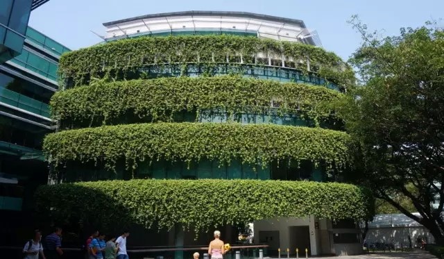 新加坡的立体绿化居然这么奇妙!