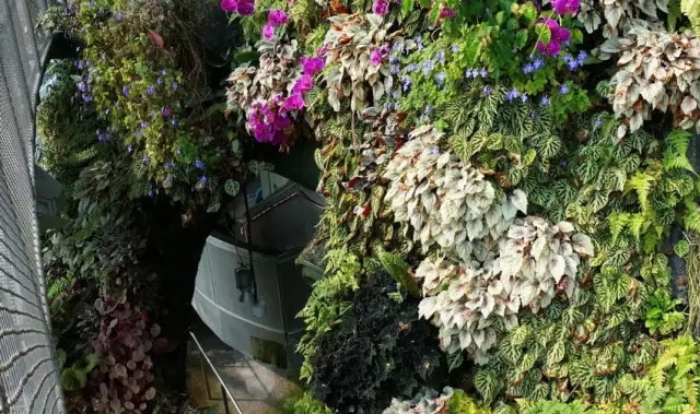 新加坡的立体绿化居然这么奇妙！