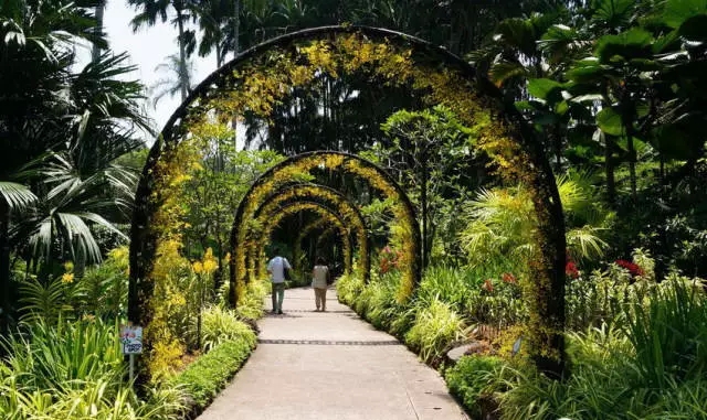 新加坡的立体绿化居然这么奇妙！