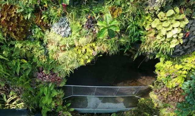 新加坡的立体绿化居然这么奇妙！