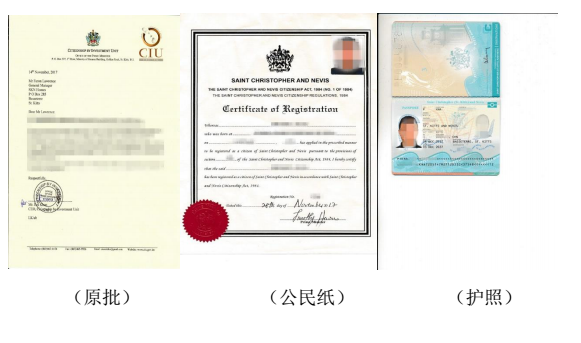 最新获批移民案例分析，助你完美规避CRS