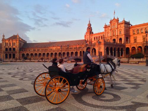 全球学历+国际语言，移民西班牙新优势！