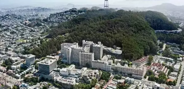 1531798249759742.png 加州10所州立大学分别适合什么样的学生?