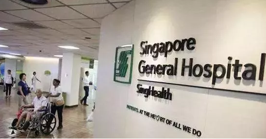 移民新加坡，一个最适合孩子成长的国家