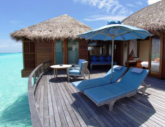 促使人们选择圣基茨移民的理由有哪些？