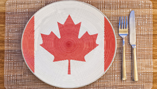 不会英语移民加拿大后寸步难行？