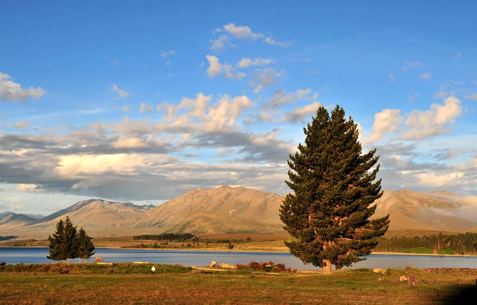 新西兰投资移民又回来了! 新西兰投资移民又回来了!