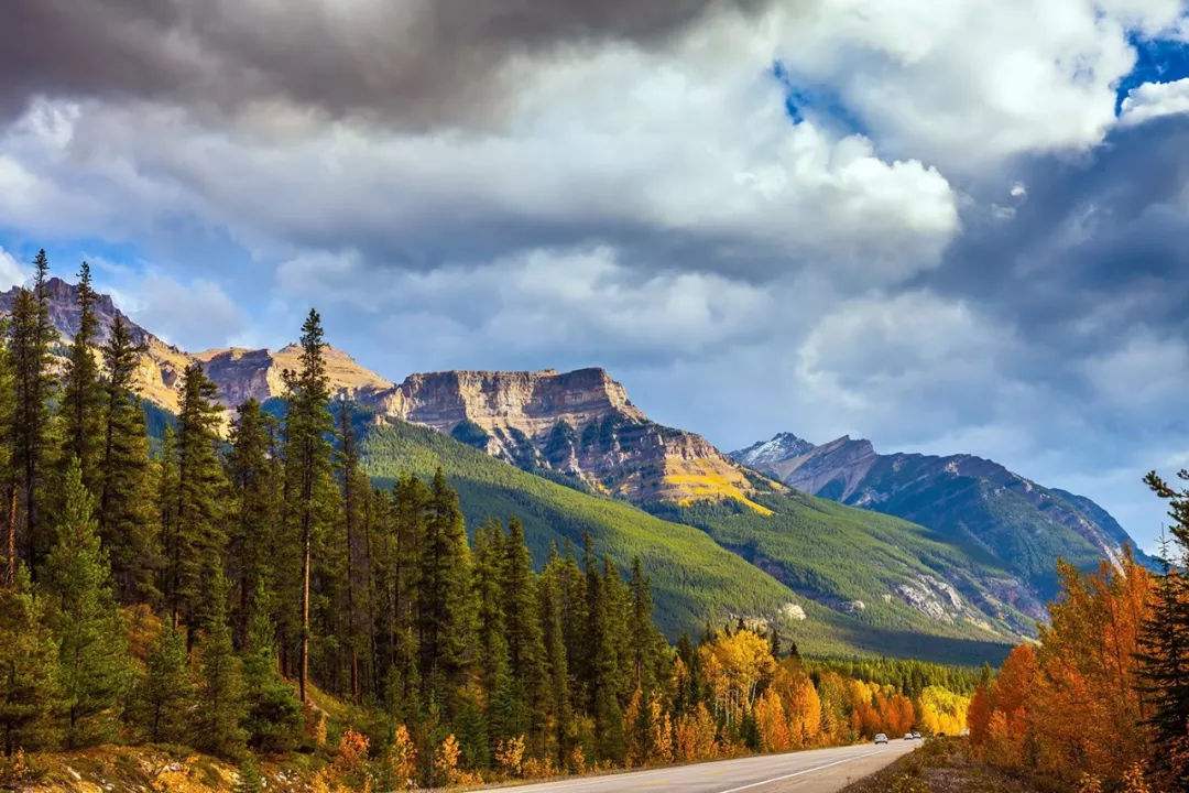 105.婶儿？请问可以通过买房移民加拿大吗？丨《留求艺顾问聊移民》专栏