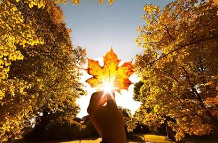 移民加拿大让孩子上私立学校好还是公立学校好 移民加拿大让孩子上私立学校好还是公立学校好