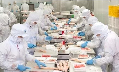 重磅！加拿大农业和食品工人移民试点联邦项目5月15日正式开始接受申请