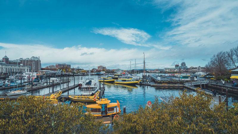 开工喜报！L女士阿省省提名拒签再申成功获批