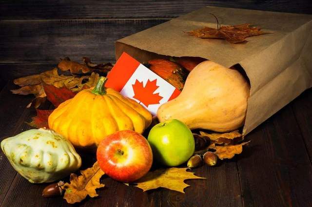 1617958084918995.jpg 不要误入加拿大购房移民的坑