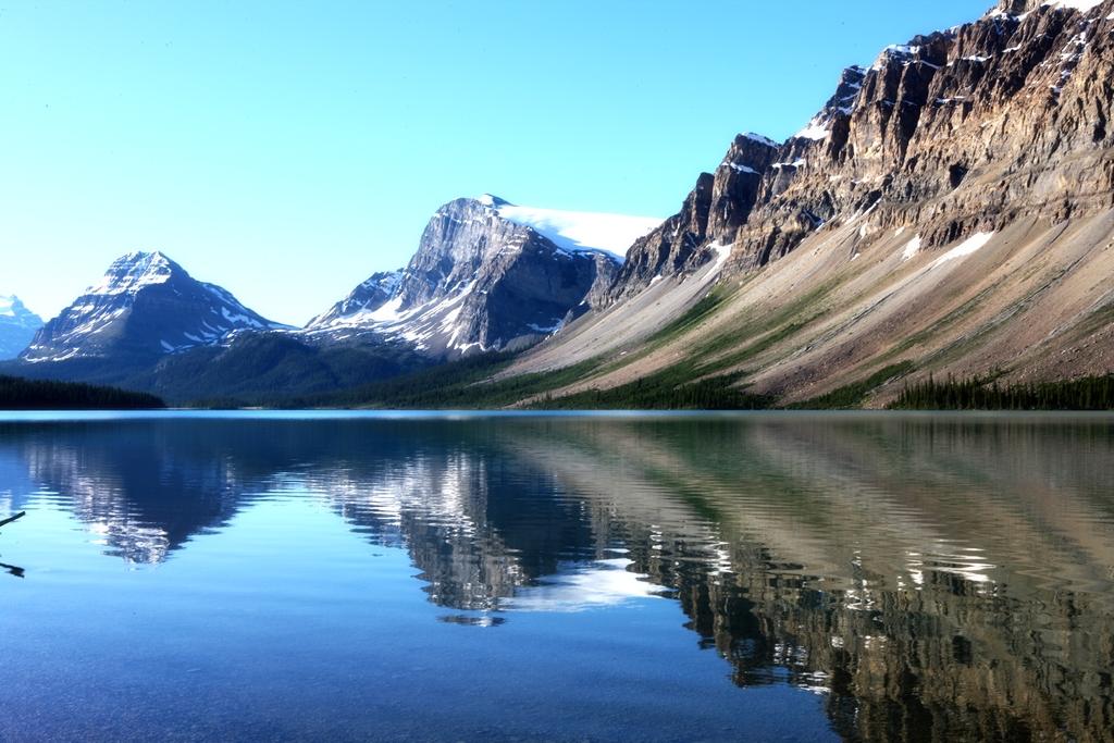 恭喜！W女士桥梁工签火速批准