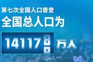 中国第七次人口普查数据，这张图就看懂了