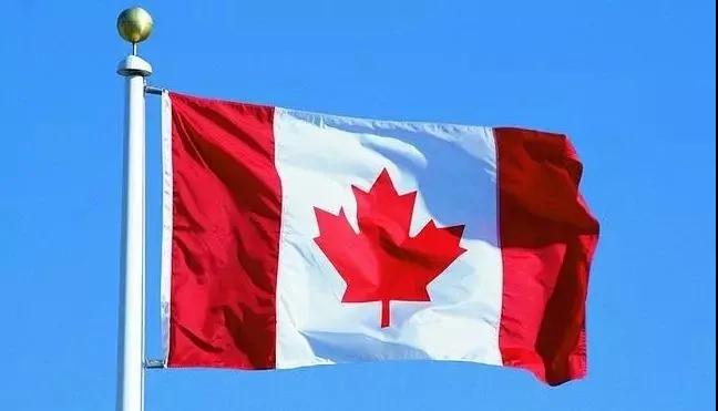 加拿大扩大低收入人群福利：320万人从中受益！