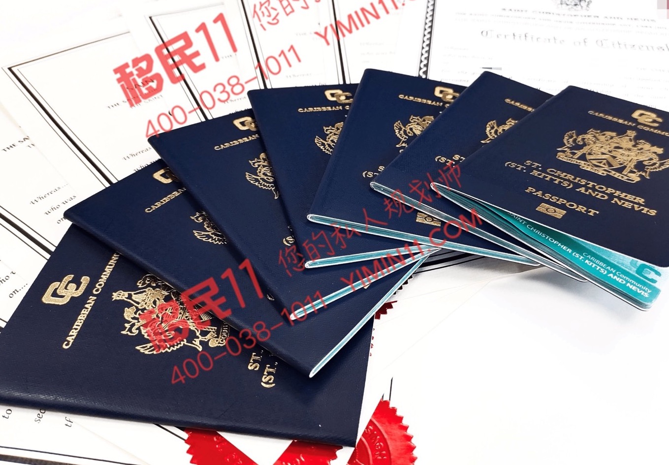 喜报！一天7本圣基茨和尼维斯护照获批