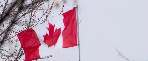 加拿大众多移民途径中，雇主担保仍然是最主流的项目！