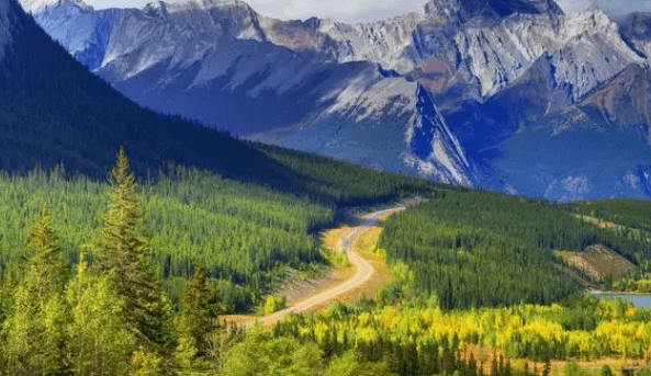 CLB9!General岗客户BC省提名获批 CLB9!General岗客户BC省提名获批