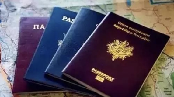 哪些国家承认双重国籍？