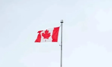 加拿大移民积压数量激增至100万！