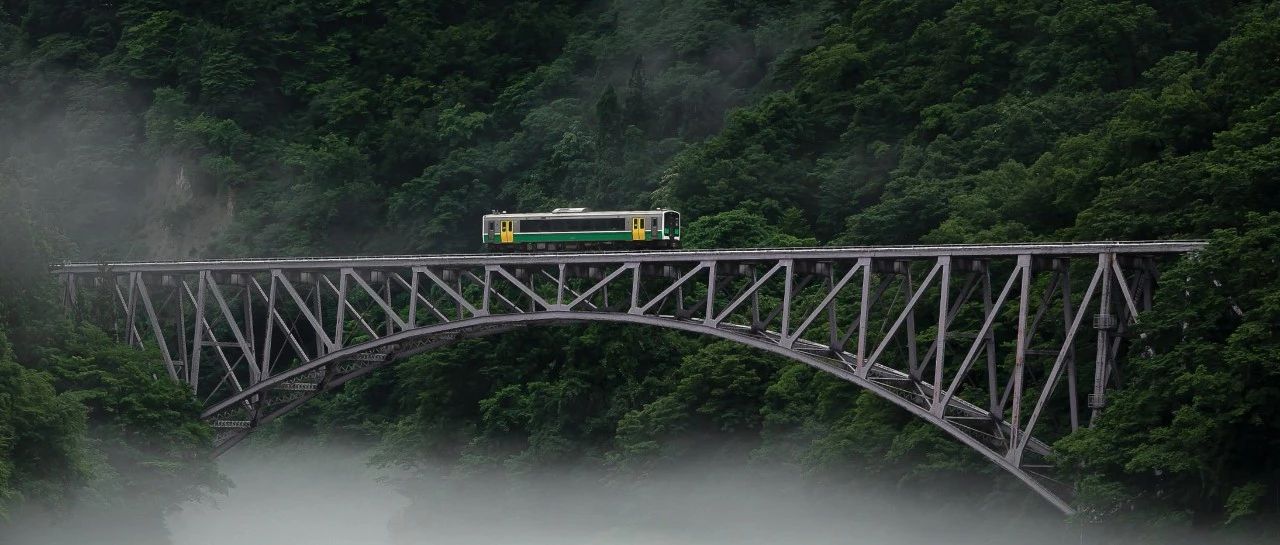 如何选择合适的AP课程及其学习地点