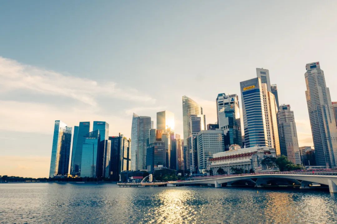 深圳有哪些学校提供AP课程