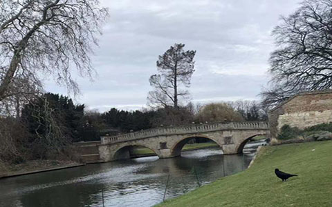 到英国留学行李带多重符合要求