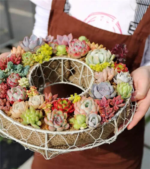 留学之家艺术辣妈,母亲节特别活动 留学之家艺术辣妈母亲节特别活动|看女王大人们是怎样创造艺术的!