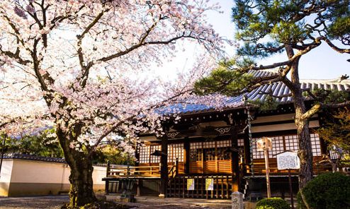 日本艺术大学分享，来康康你喜欢哪个！