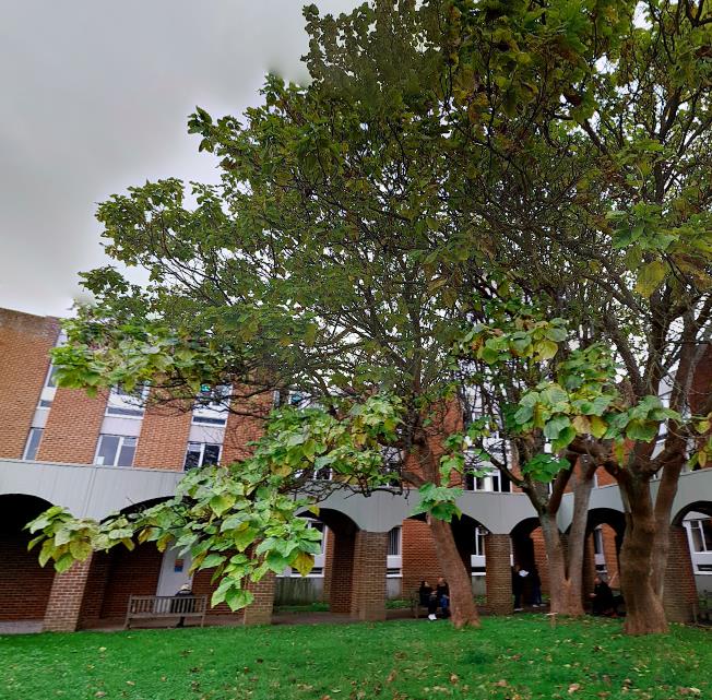 明尼苏达大学留学入学条件,一览表 明尼苏达大学留学入学条件,一览表