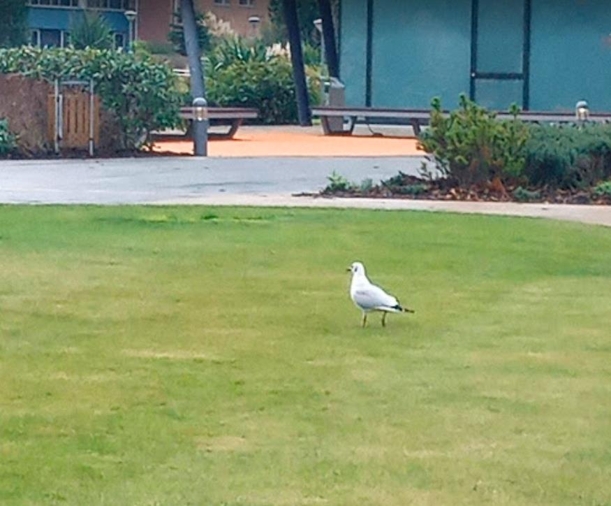 密歇根大学安娜堡分校研究生留学费用 密歇根大学安娜堡分校研究生留学费用