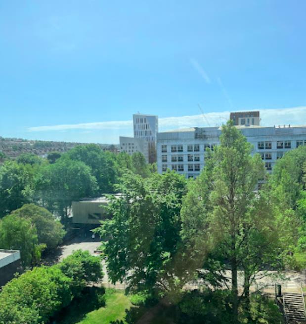 休斯顿的大学排名