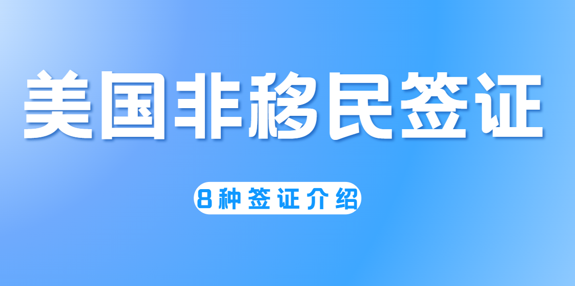 非移民签证类别