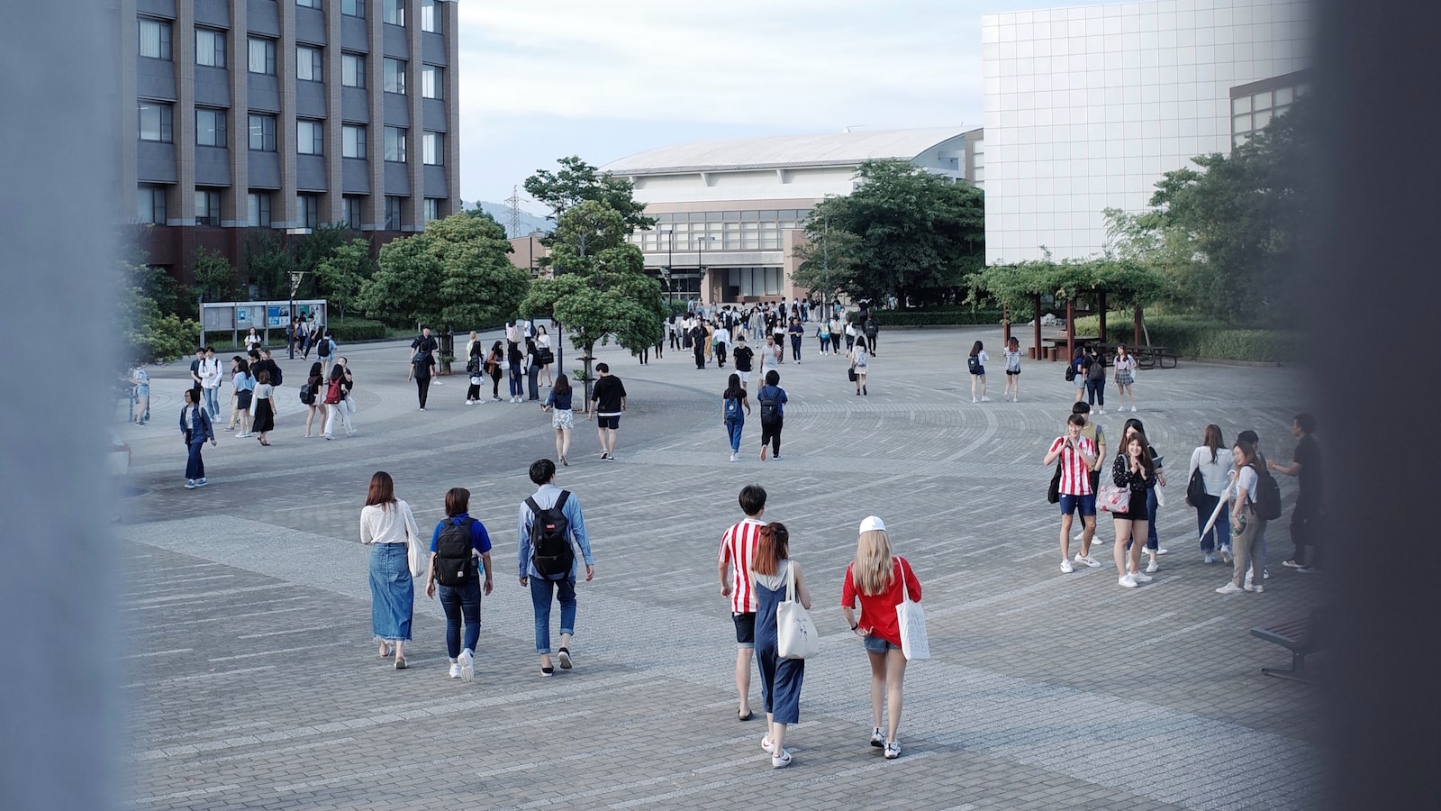 重磅来袭！蔡甸区出国留学中介机构实力排行榜