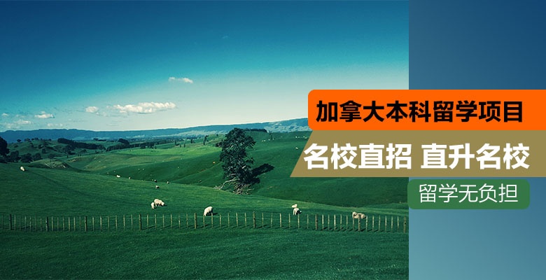 南平有哪些美国本科留学中介机构按实力精选排名名单