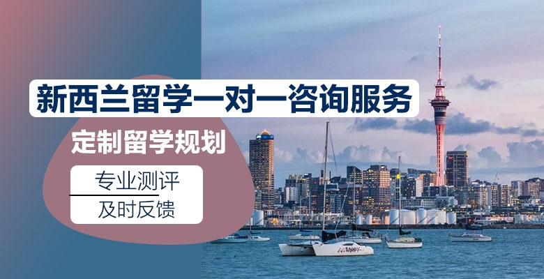 滁州有哪些美国本科留学培训机构最值得信赖排名