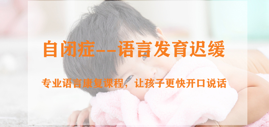 语言发育障碍康复训练中心