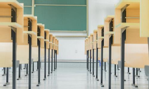 学校环境优雅宁静