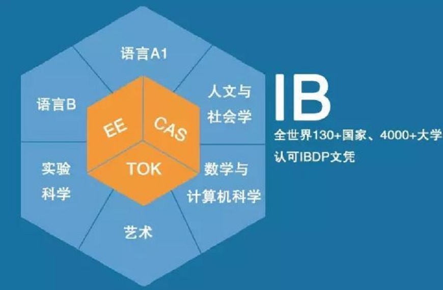国际课程辅导