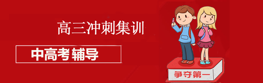 中高考冲刺辅导，中小学全科教育-高考冲刺