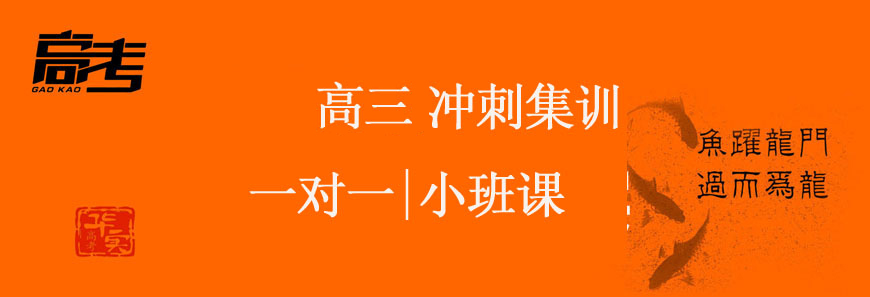 中高考冲刺辅导，中小学全科教育-定制高考学习方案