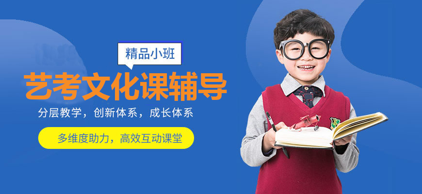 专业高考辅导机构